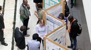 Humboldt fellows at a poster session